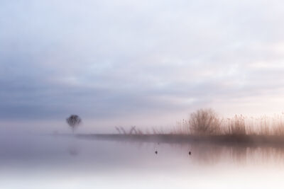 Mist