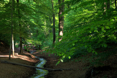 Beek op de Hemelse Berg
