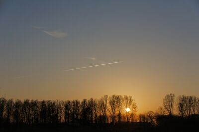 Zonsondergang tussen de bomen bij Het Waterrijk
