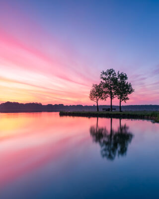 @mytruecolours - Pink Delight