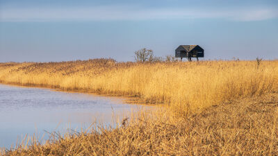 Vogeluitkijktoren