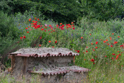 Insectenhotel in de natuur