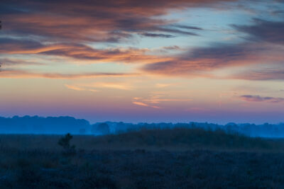 Grafsheuvel op de Regte heide