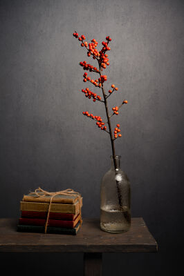 Still life with books