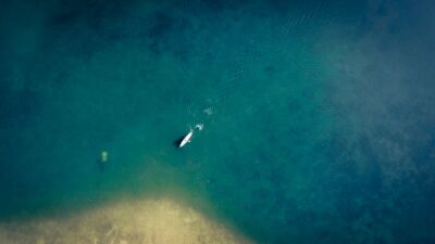Standup paddleboarding.