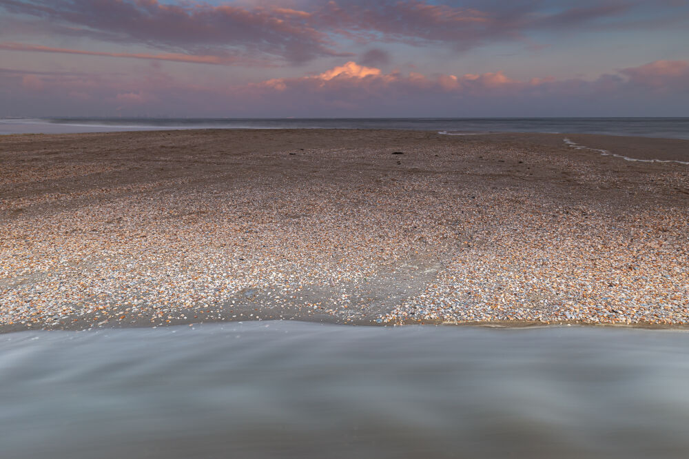 Schelpen
