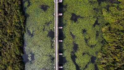 Moerputtenbrug.