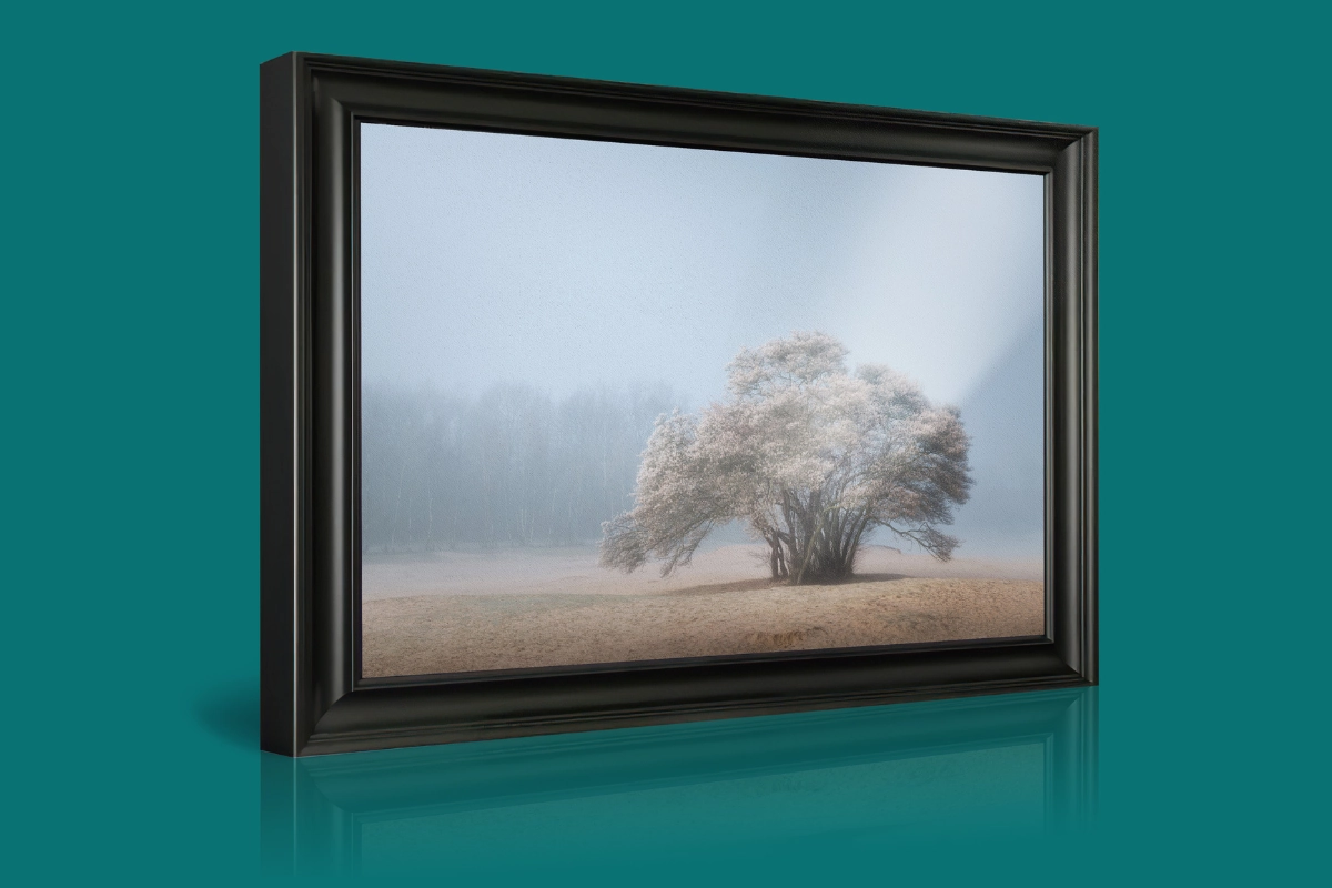 /uploads/2023_12_15_092939_picfee-wanddecoratie-hp-foto-onder-aan.webp
