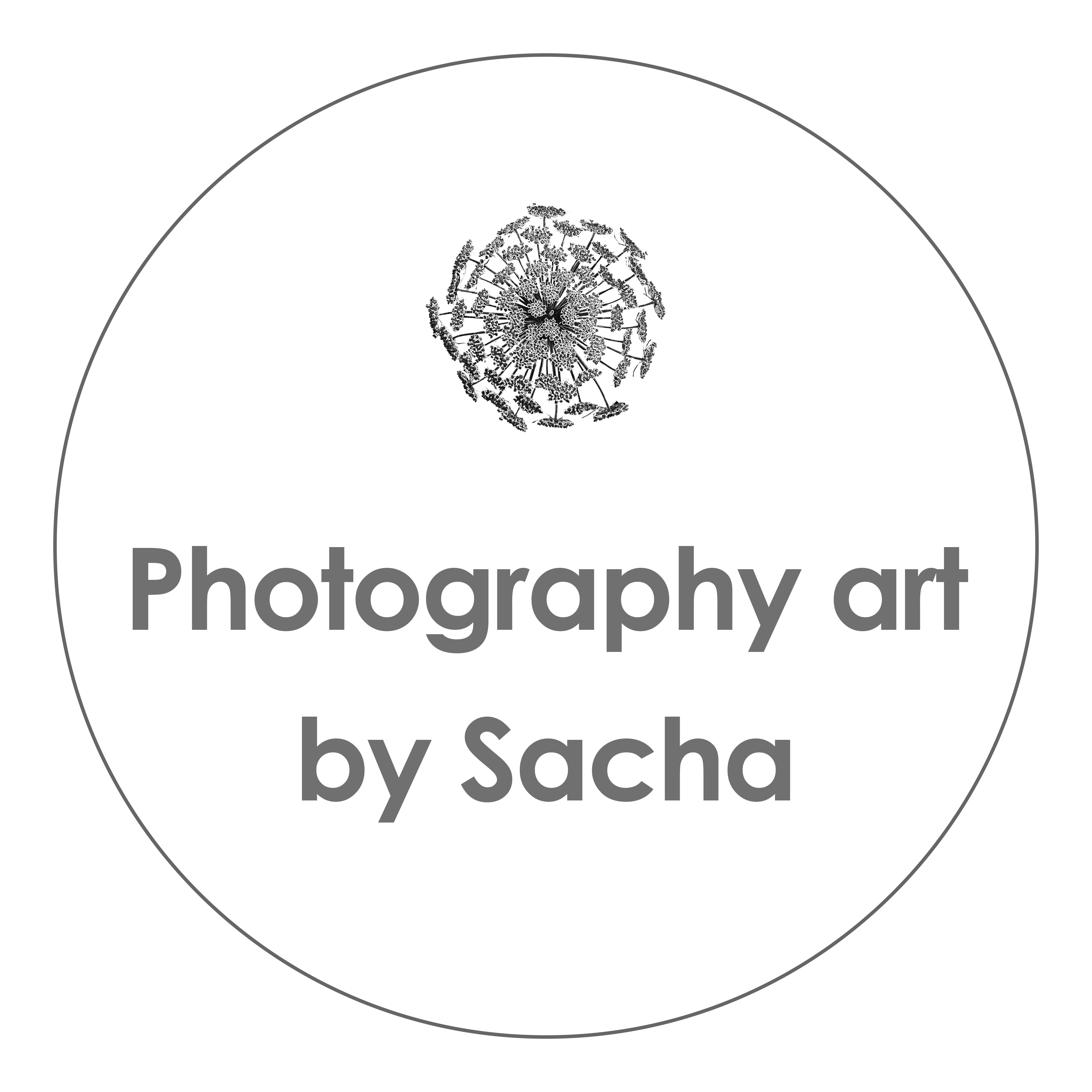 /uploads/2024_03_21_145056_LogoPhotographyartbySachaopwitteachtergrond.jpg