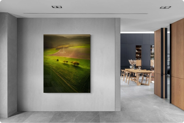 2024_07_29_145418_Kunstwerkenvoorindehal_Picfeewanddecoratie.webp