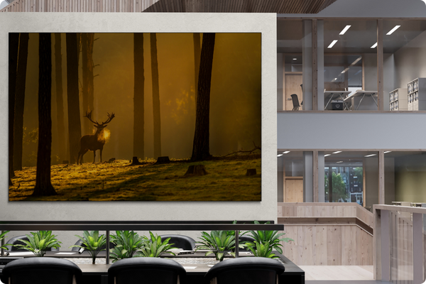 2024_07_29_150025_Kunstvoorkantoor_Picfeewanddecoratie.webp