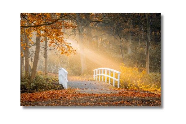 2025_04_01_142235_Wanddecoratie-categorie-landschappen-picfee-kunstwerken-en-posters.png