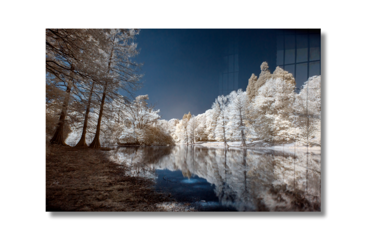 2025_04_01_142526_Wanddecoratie-categorie-natuur-picfee-kunstwerken-en-posters.png