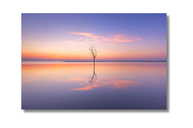 2025_04_01_142702_Wanddecoratie-categorie-reflectie-picfee-kunstwerken-en-posters.png