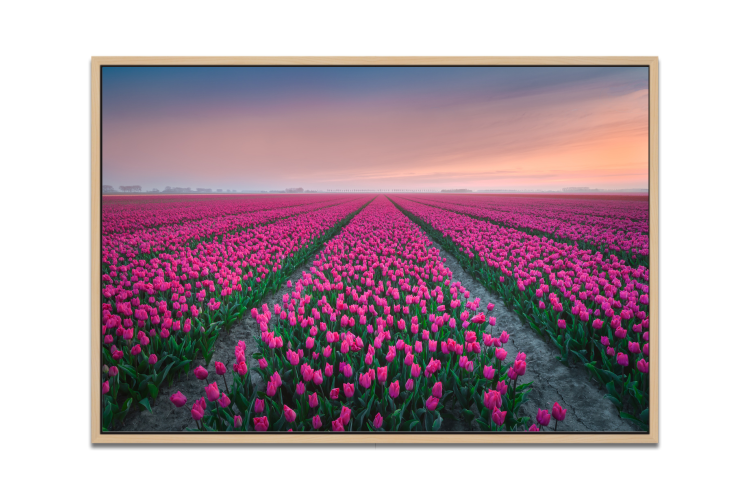 2025_04_01_155801_Wall-decor-category-flowers-picfee-artworks-and-posters.png