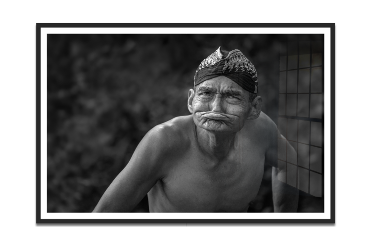 2025_04_01_160140_Wall-decor-category-portraits-picfee-artworks-and-posters.png