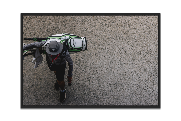 2025_04_01_160250_Wall-decor-category-sports-picfee-artworks-and-posters.png